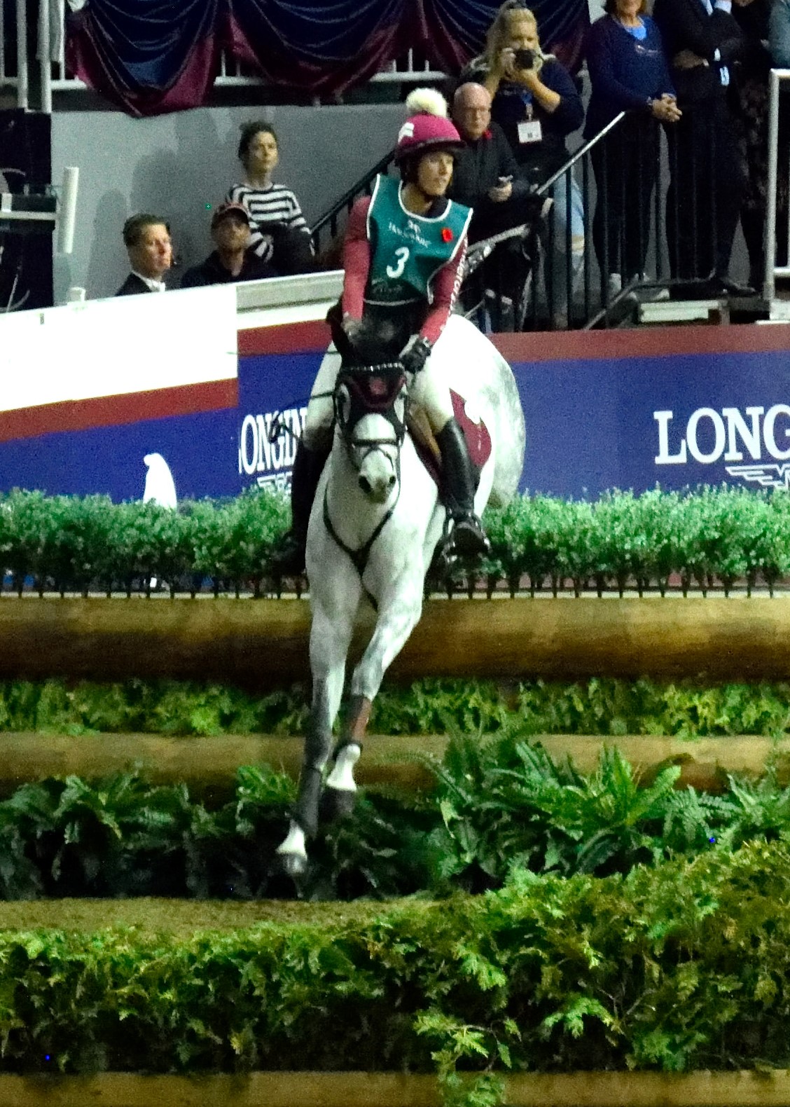 Holly Jacks' Winning Ride in the Indoor Eventing at the 2022 Royal Agricultural Winter Farm - Photo Credit: Ben Radvanyi, Canada's Royal Agricultural Winter Fair